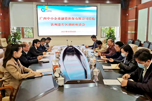 中小擔保領導率隊到中國（廣西）自由貿(mào)易試驗區(qū) 欽州港片區(qū)開展調(diào)研座談會